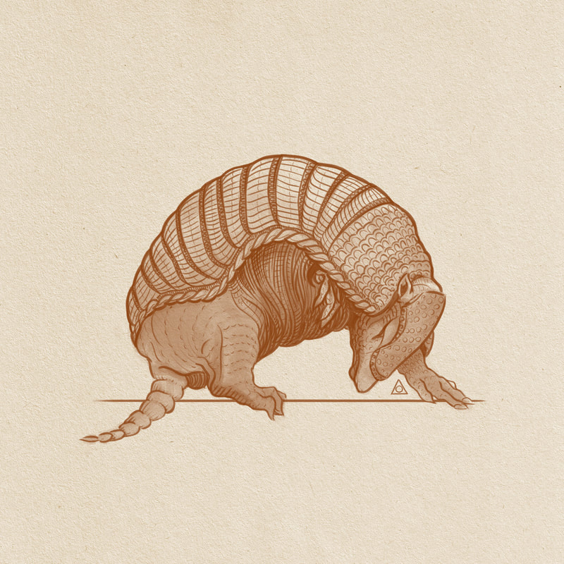 Grecian-style linework drawing of armadillo curling
