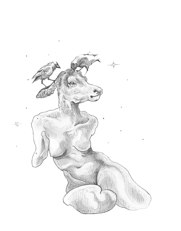 pencil drawing of armless nude woman with deer head and magpies on head
