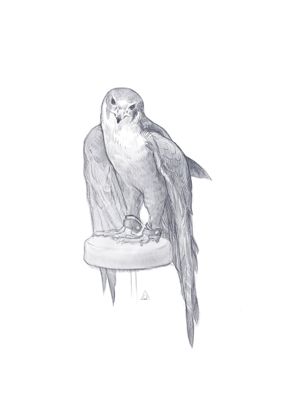 greyscale bird portrait of peregrine falcon lanner falcon cross standing on perch
