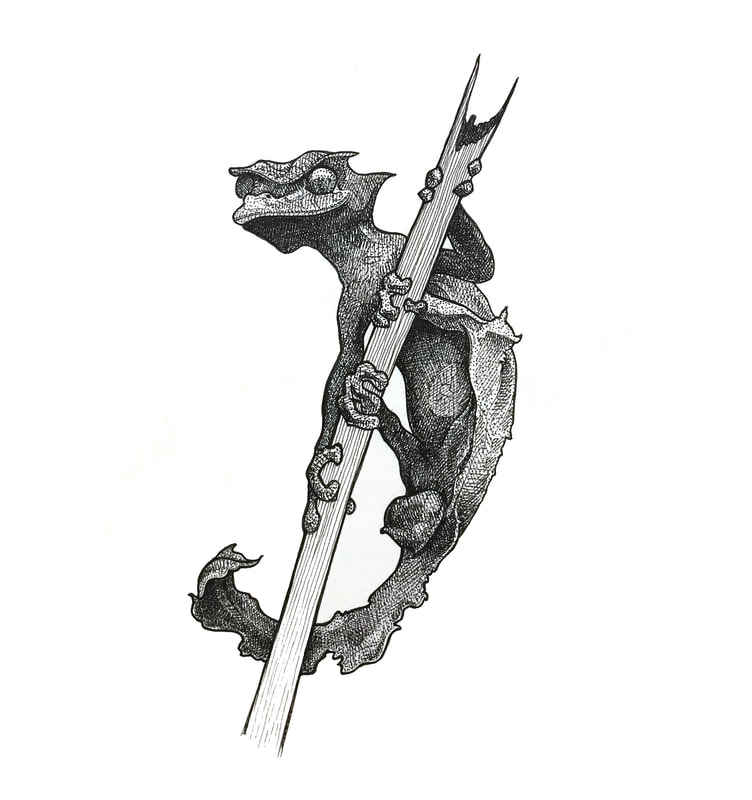 satanic leaf gecko black and white illustration