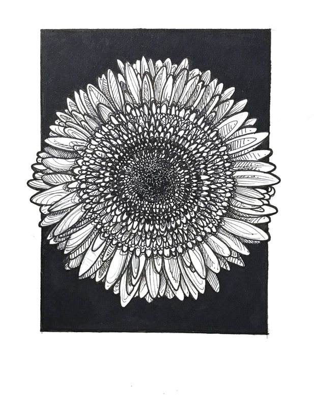 Ink nature illustration of sunflower gerber daisy in black and white