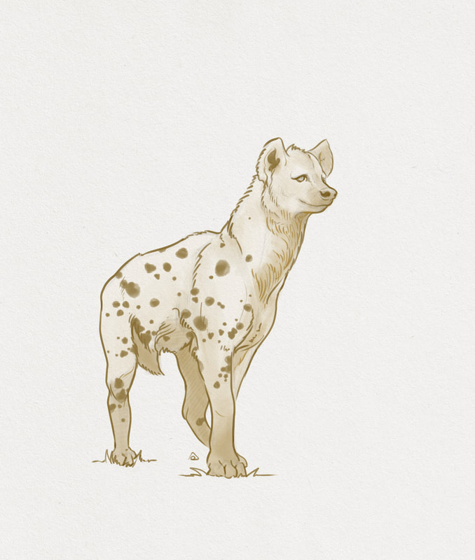 Colour sketch of spotted hyena
