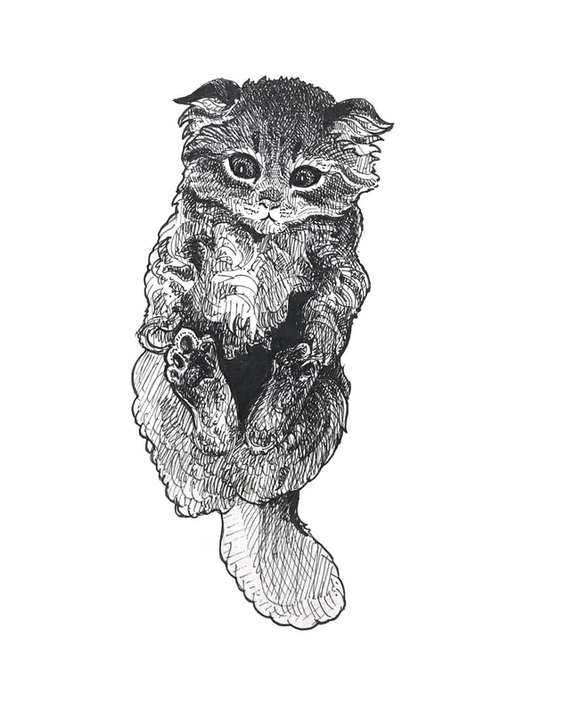 cute kitten ink drawing