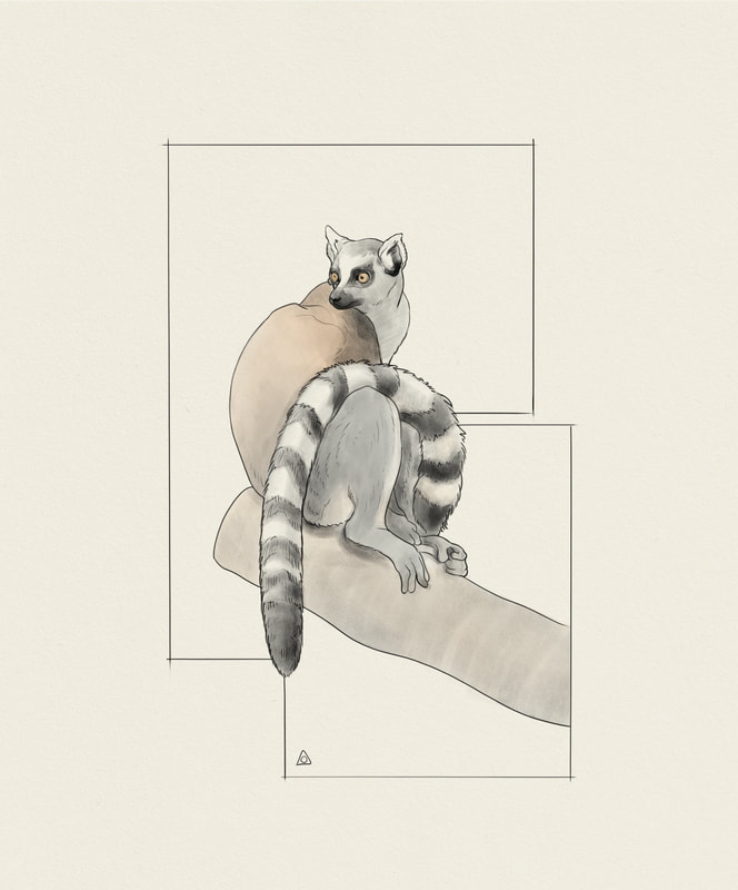 Drawing of ringtailed lemur sitting on a branch in rectangular abstract background
