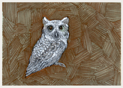 owl pen and ink artwork drawing