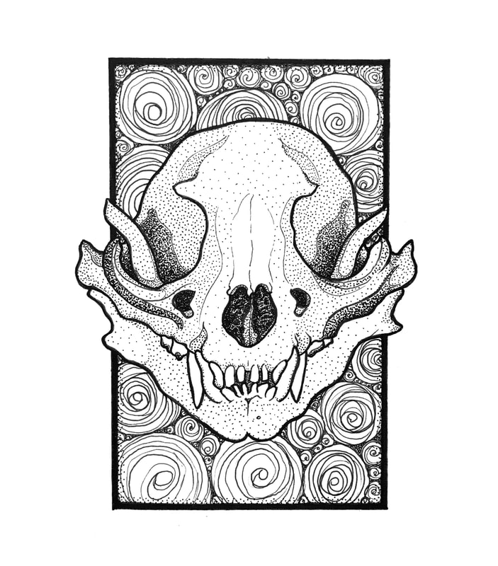 raccoon skull pen and ink art drawing