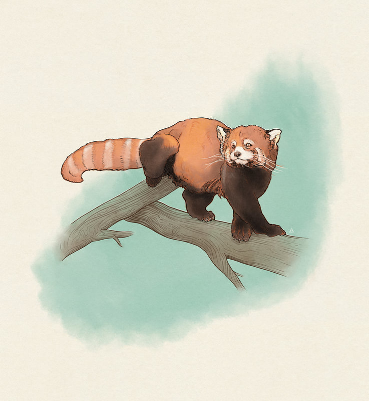 Digital watercolour illustration of red panda standing on tree branches
