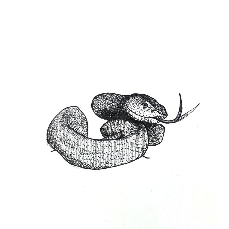 snake pen and ink animal art