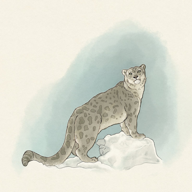 Digital watercolour illustration of snow leopard standing on hill
