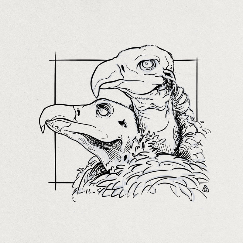 linework black and white drawing of two vultures cuddling
